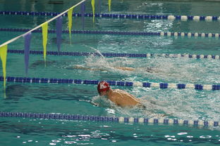 体育mk-张雨霏自由泳接力助队夺冠，张雨霏自由泳接力助队夺冠了吗