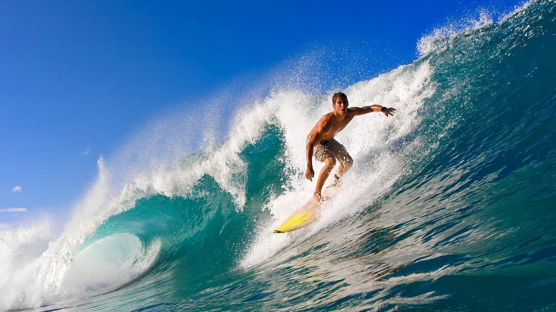 新能源和绿色材料结合，打造未来一流绿色足球场馆，绿色新能源的优缺点