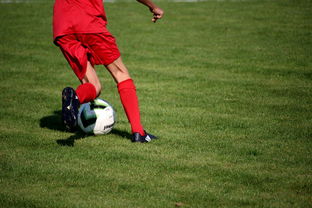 体育mk-俱乐部引入智能出场管理系统 提高训练组织效率，俱乐部场地